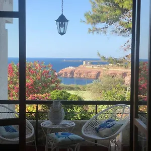 book here